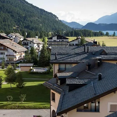 Cervo Sils-Maria