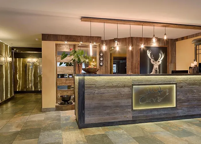 酒店 切萨马古酒店